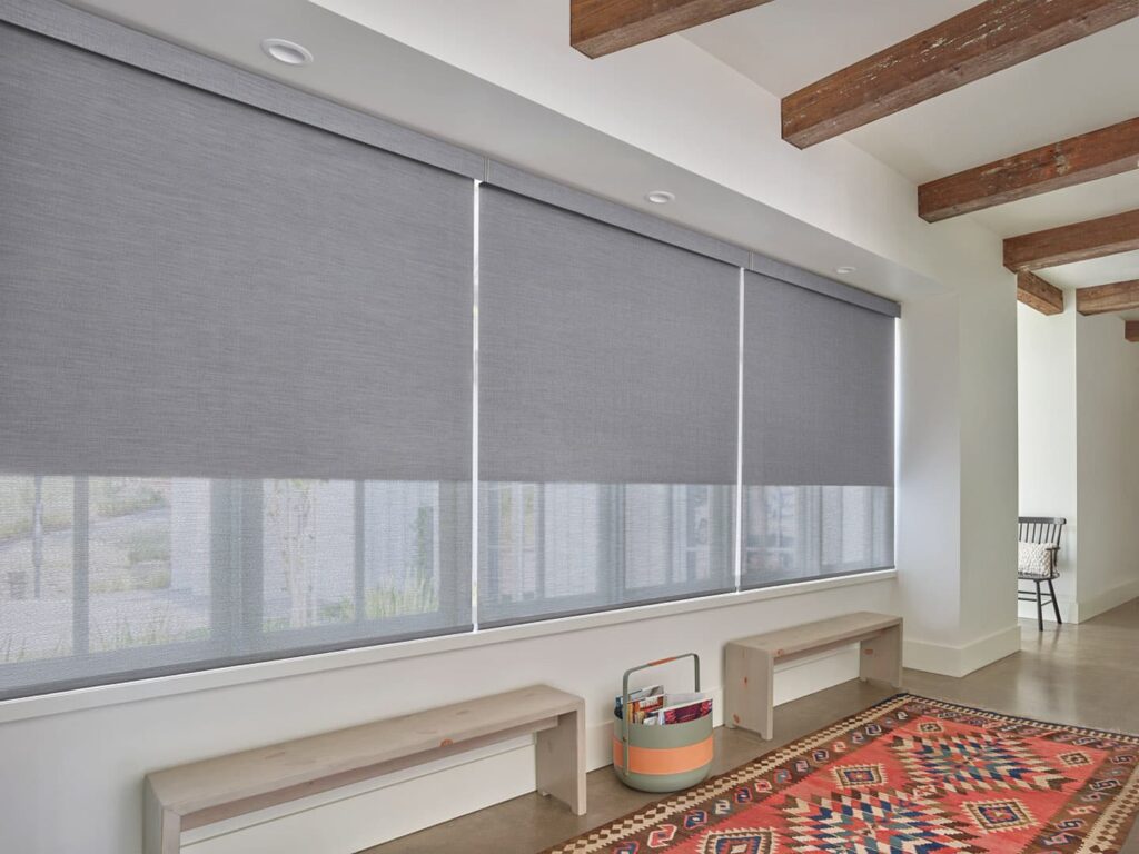 Roller Shades For Windows Brandon